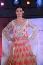 Deepti Gujral at Pidilite presents Manish Malhotra, Shaina NC show for CPAA in Mumbai on 1st July 2012 (102).JPG